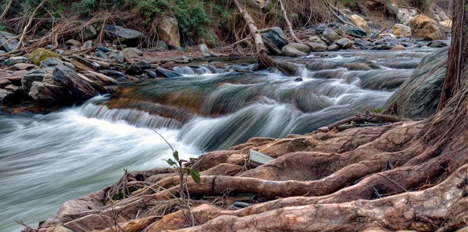 El agua de un río bajando entre piedras y troncos, en un tramo encajado de La Alpujarra